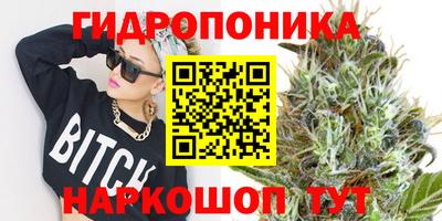 синтетический гашиш Кингисепп