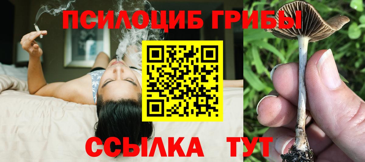 Псилоцибиновые грибы Magic Shrooms  Галлюциногенные грибы Psilocybe  Мыски  Вход с VPN 